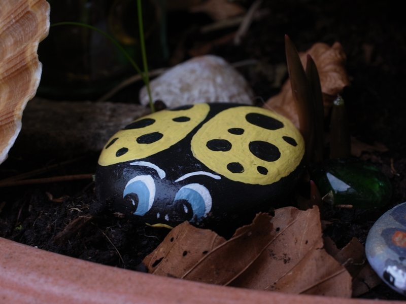 Yellow bug.JPG