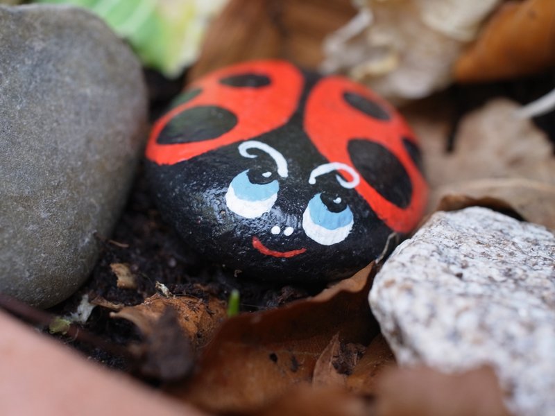 Red bug.JPG