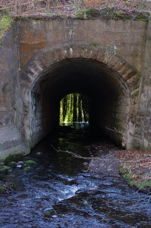 Light at the end of the tunnel.JPG