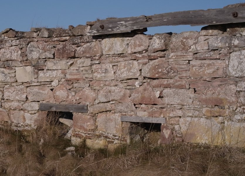 GXR crop.JPG