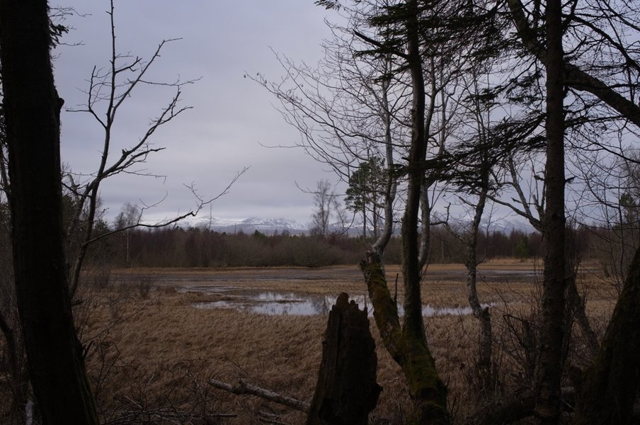Loch Culbokie.JPG