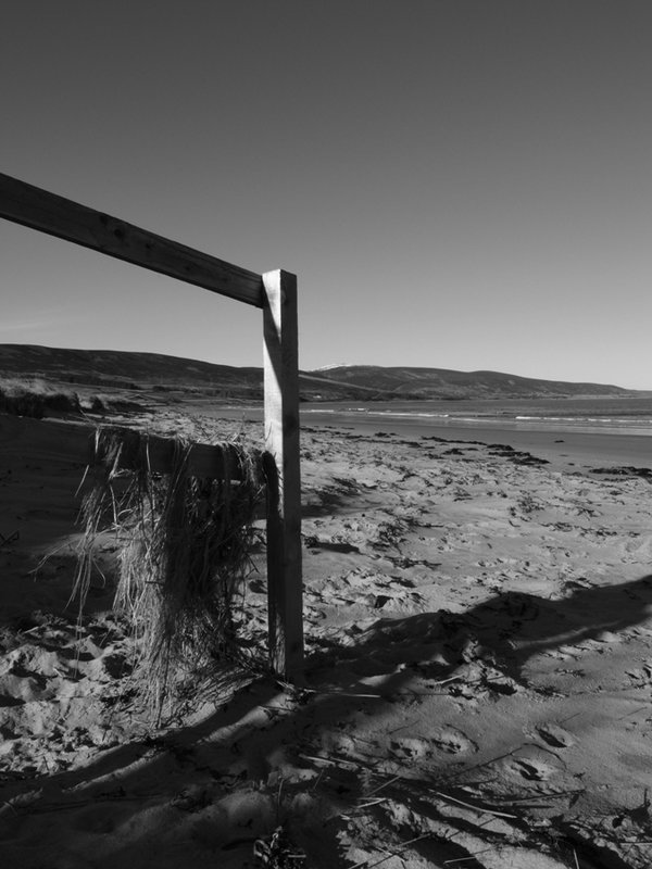 Fence.JPG