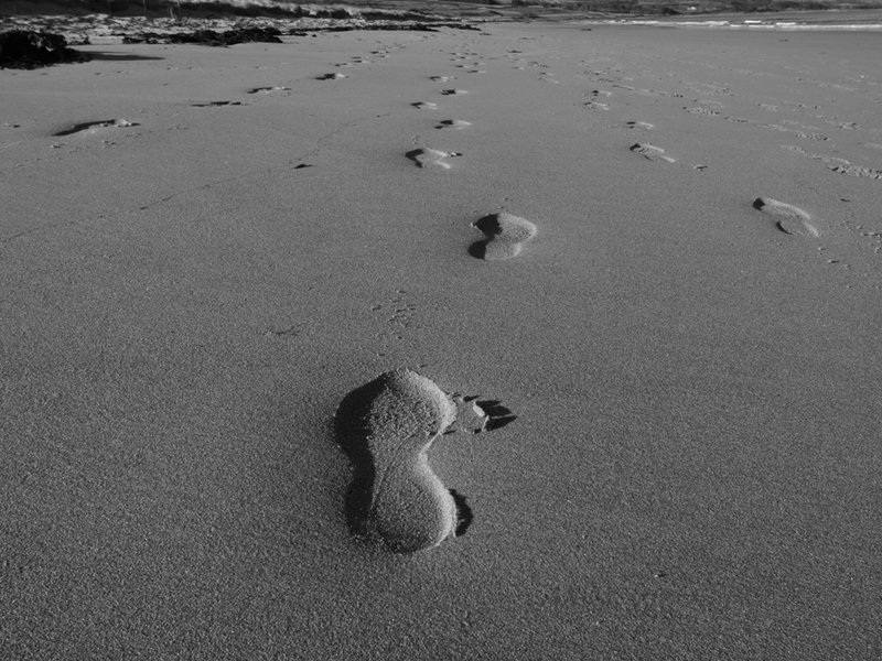 Footprints.JPG