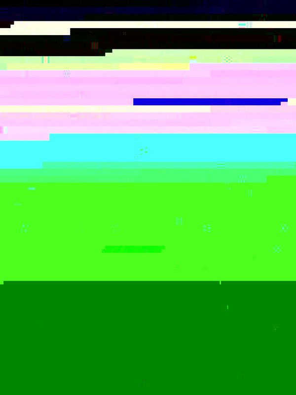 R0010242.JPG