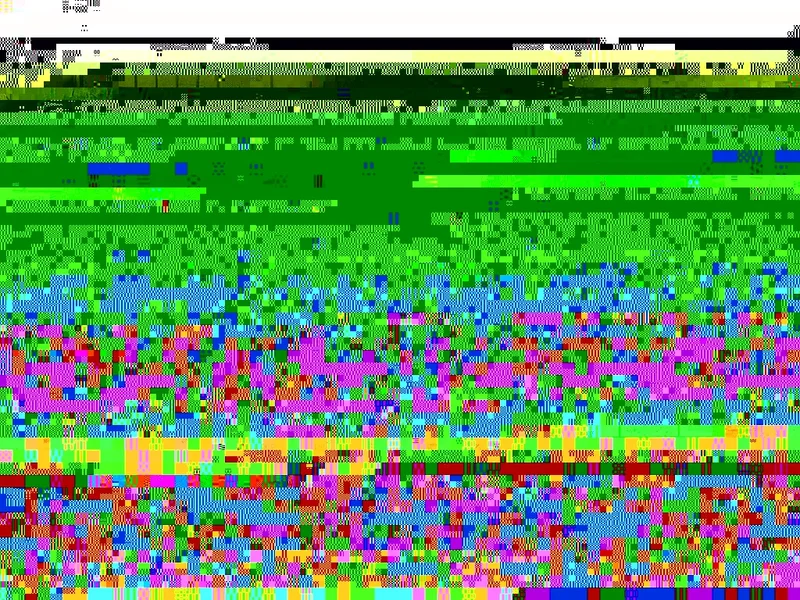R0013872.webp