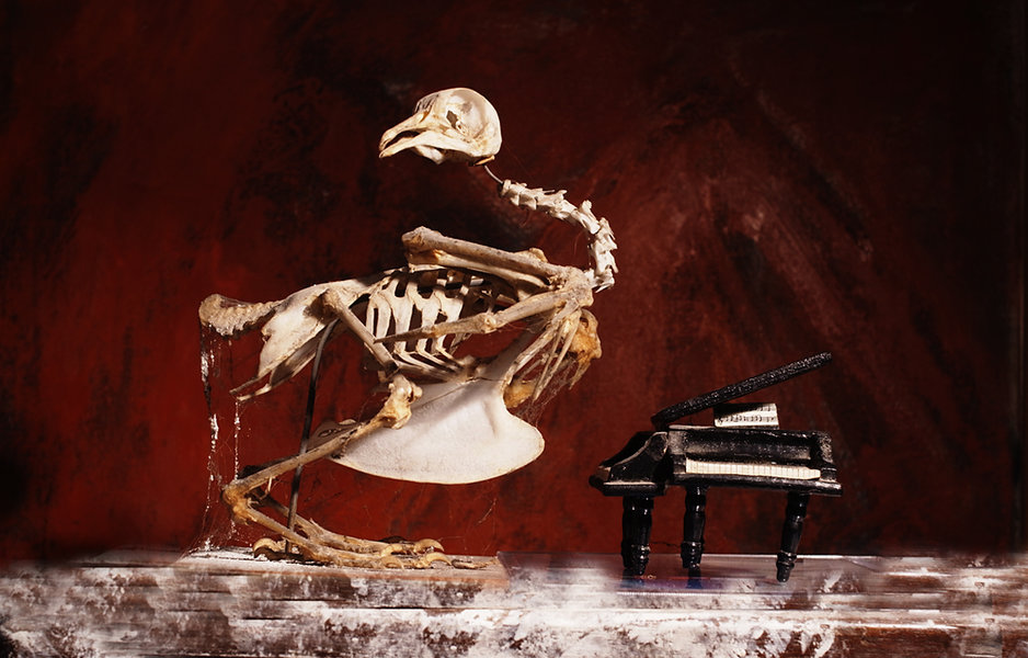 R0033198after concert.jpg