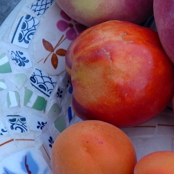 R1054334_crop.jpg
