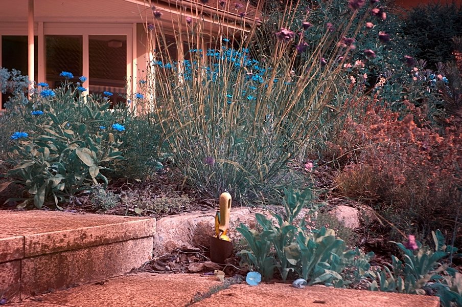 R1054544_.jpg