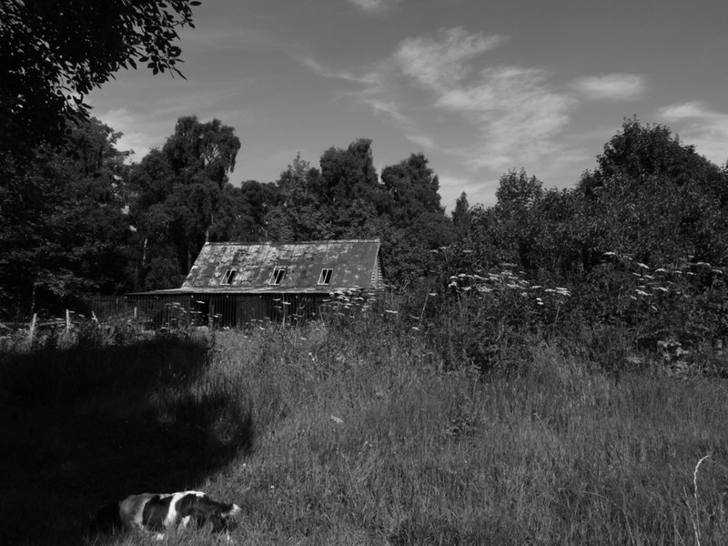 old kennels.JPG