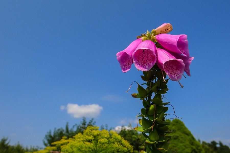 20130709-R0015111.jpg