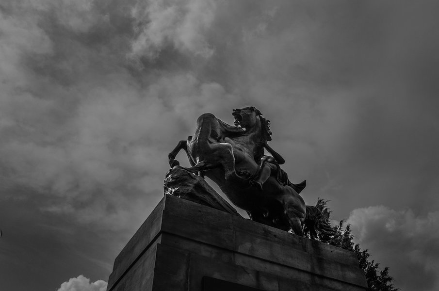R0000649.jpg
