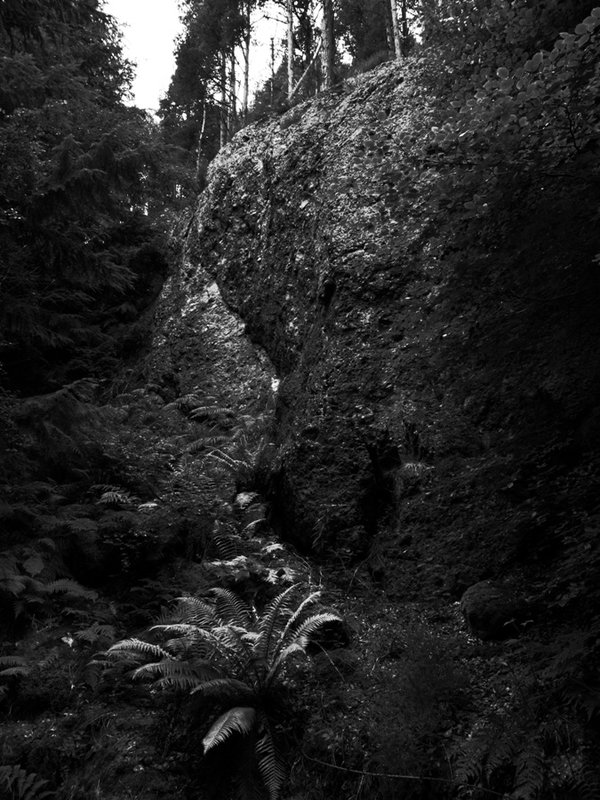 FW2.30 v weak vig.JPG