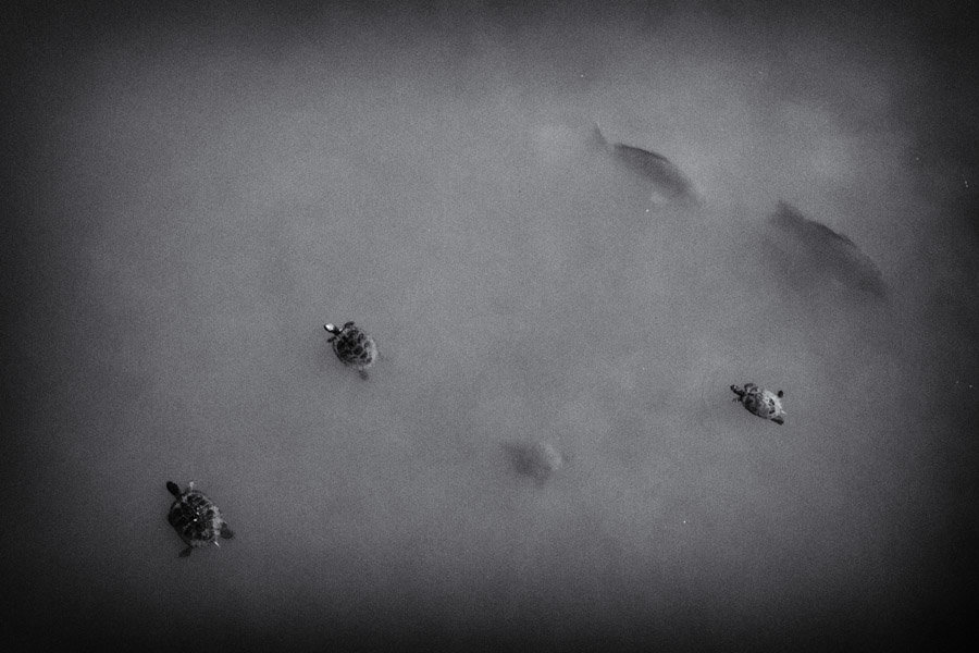 01092013-_0012497-Modifica.jpg
