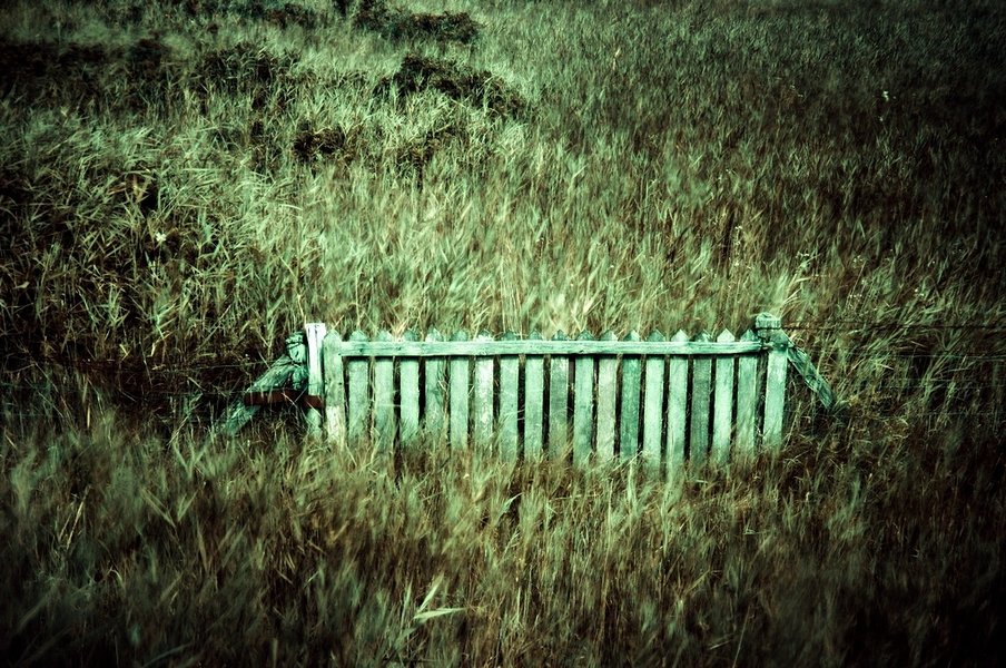 Sylt Vogelkoje.jpg