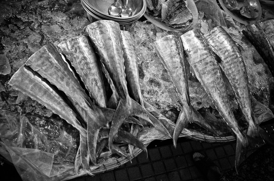 20130911-R0017251.jpg