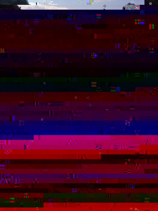 R0020887-2 (525 x 700).jpg