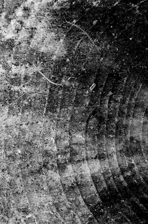 R0000896.jpg