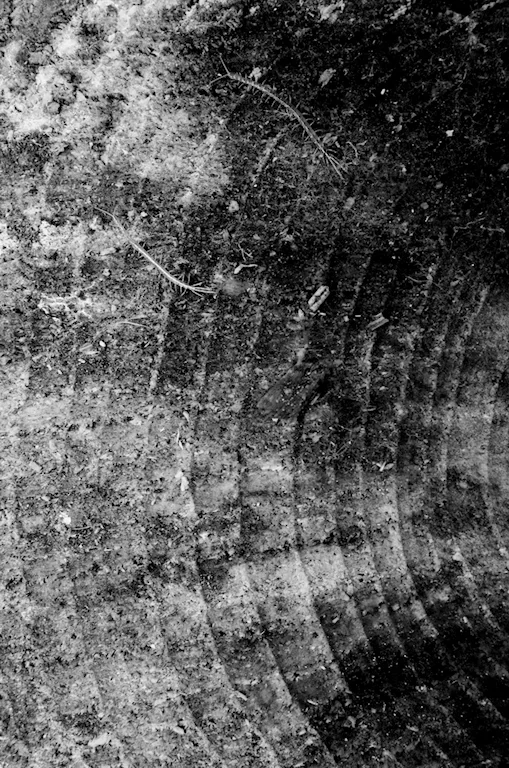 R0000896.webp