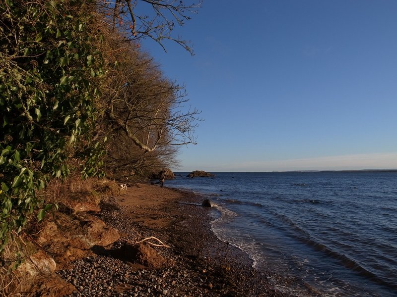 beach 2.JPG