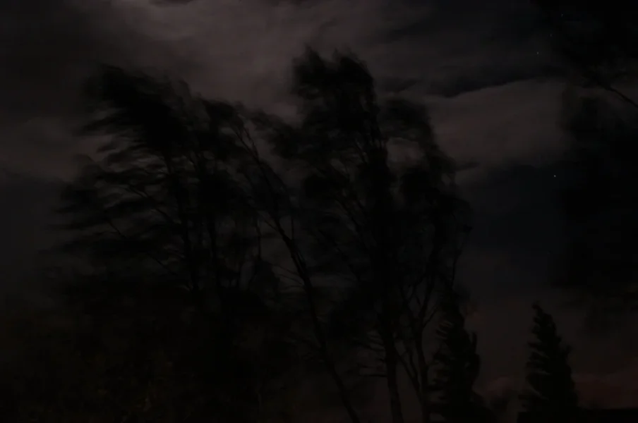 Night wind.webp