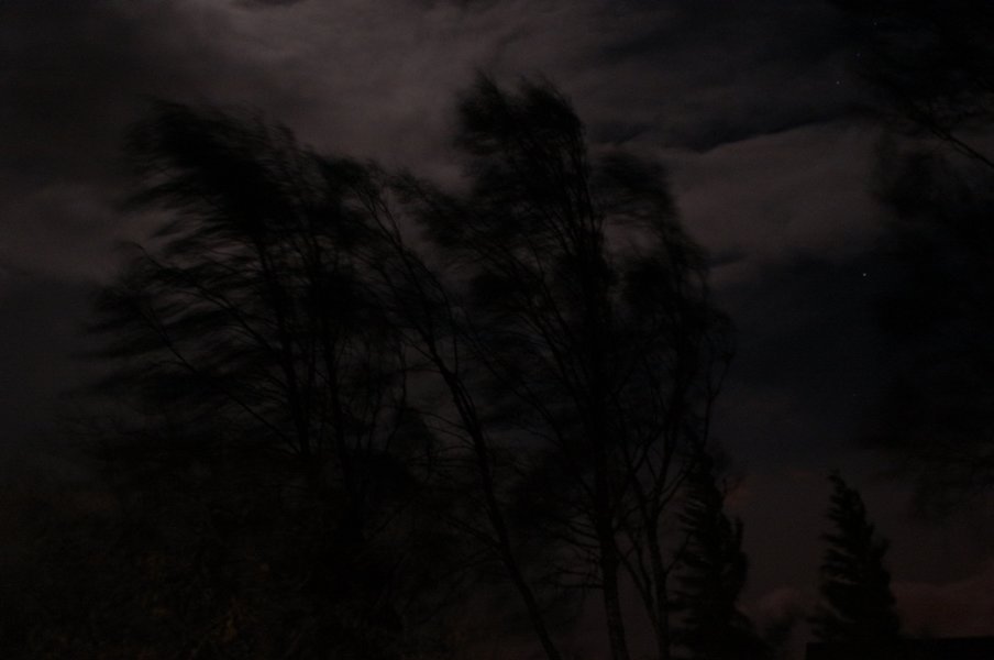 Night wind.JPG