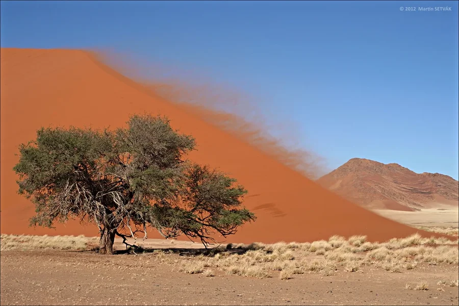 R0014954_Namibia.webp