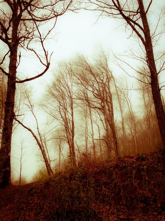 RIMG6306 [1280x768-natječaji].jpg