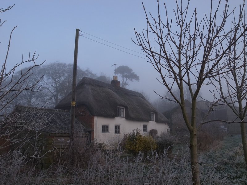 Paul's cottage in fog.JPG