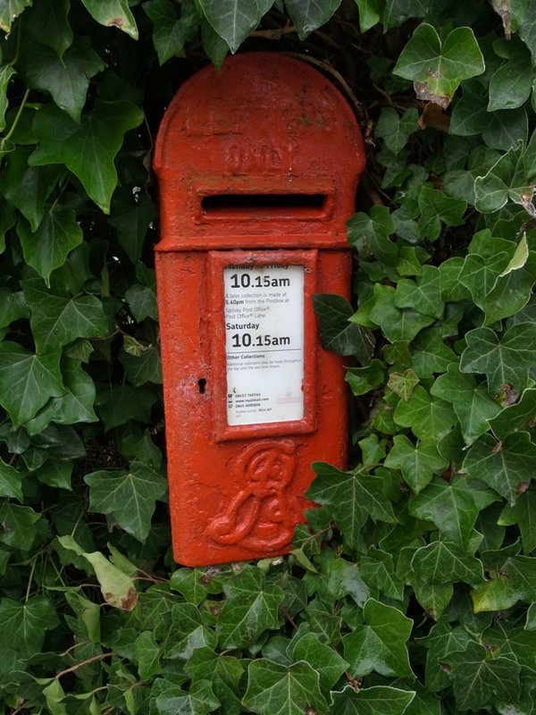 BE mailbox.JPG