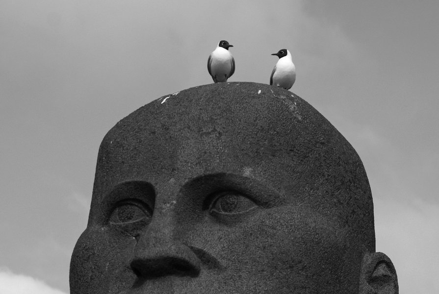 R0036127web.jpg