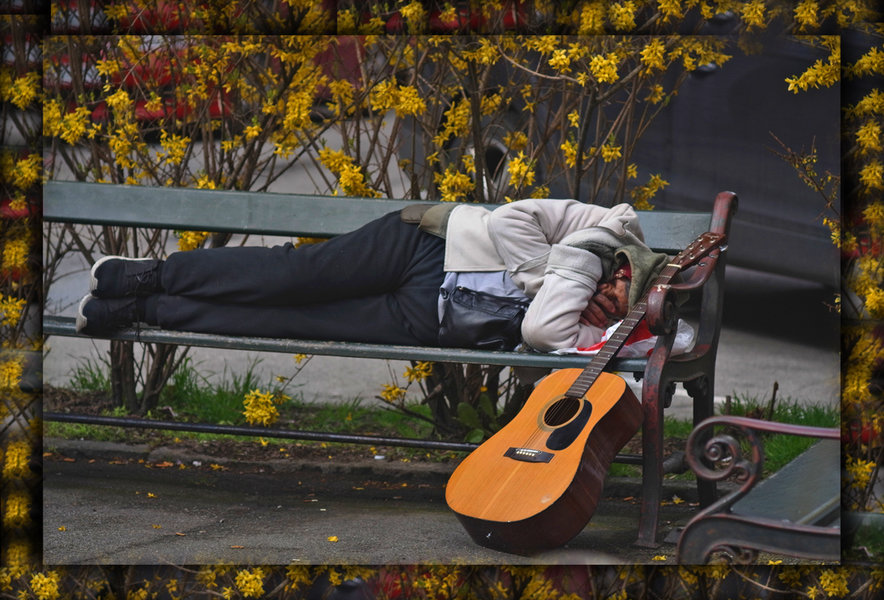 R0036236webgipsy.jpg