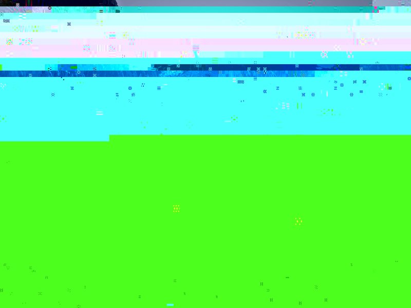 R0037489pse1 (1024 x 768).jpg