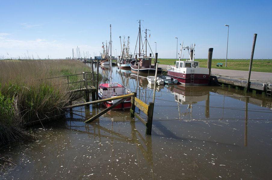 R1058927.jpg