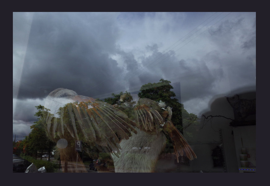 GR000893web.jpg