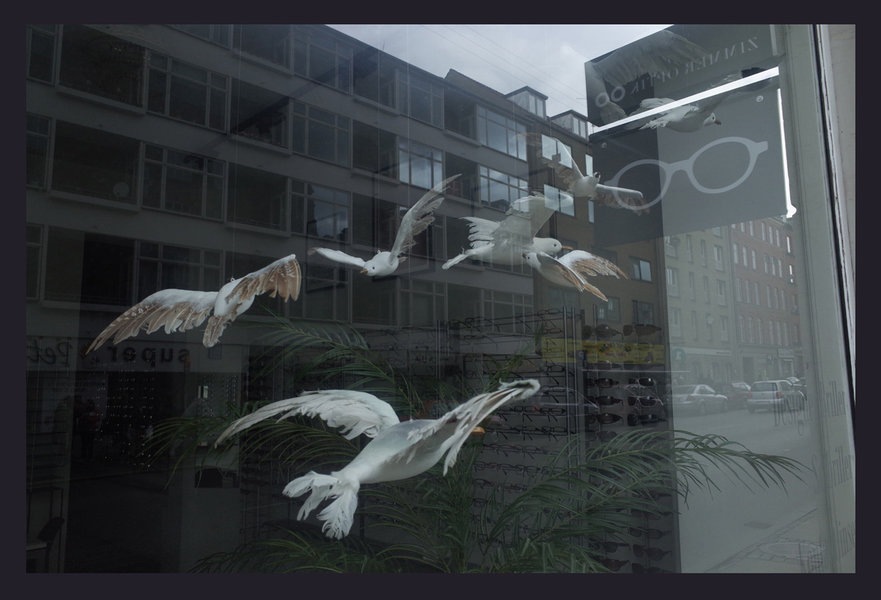 GR000903web.jpg