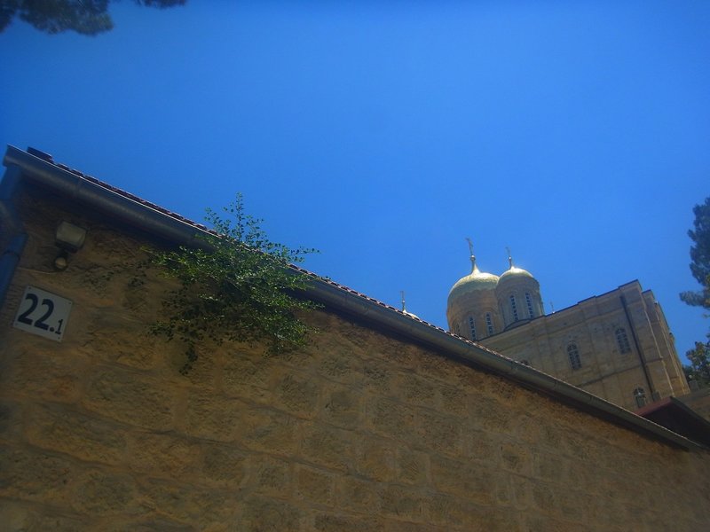 R0023821.JPG