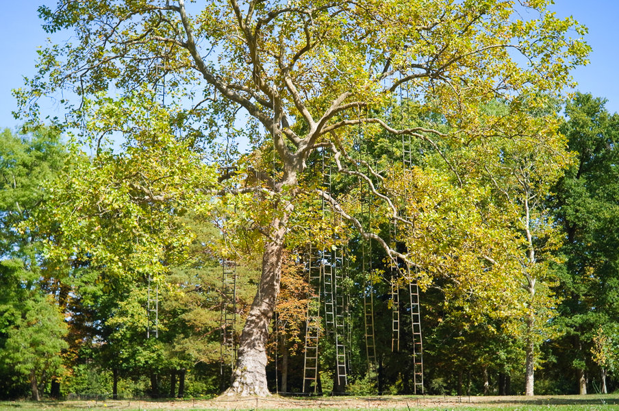 R1069631_Chaumont-Land Art.jpg