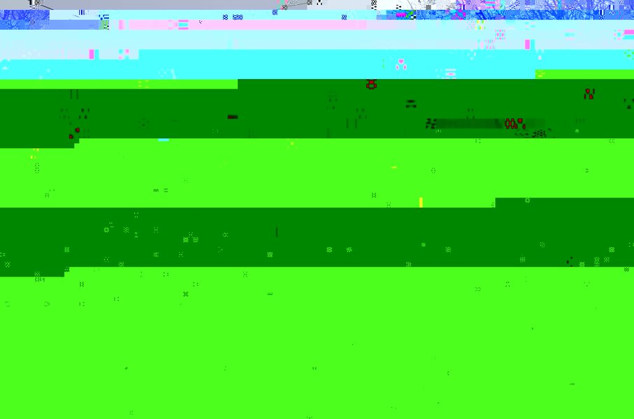 R0000014 (1024 x 678).jpg