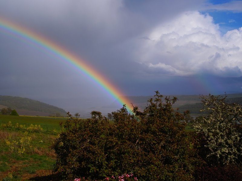 pot of gold anyone.JPG