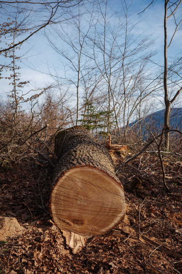 R0015470.jpeg