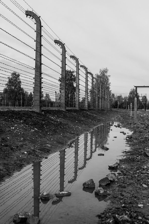 _R002313.jpg