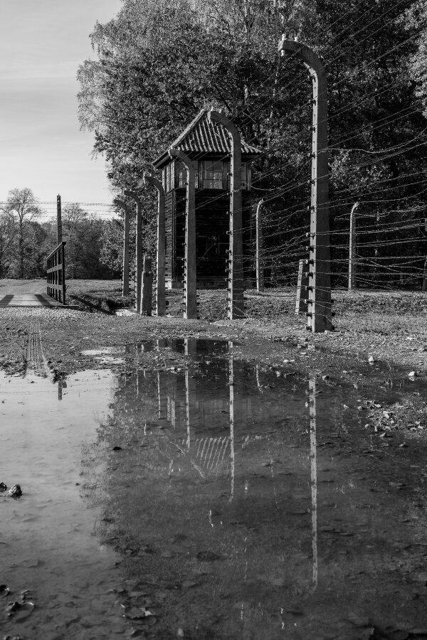 _R002314.jpg