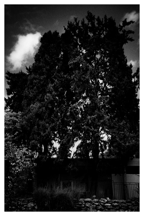 R0003307-Edit.jpg