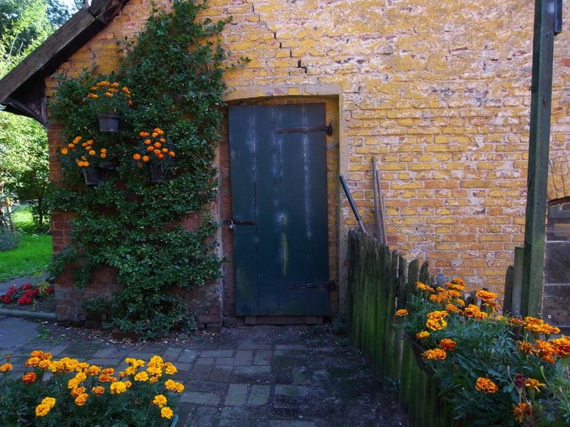 K1024_R0010139.JPG