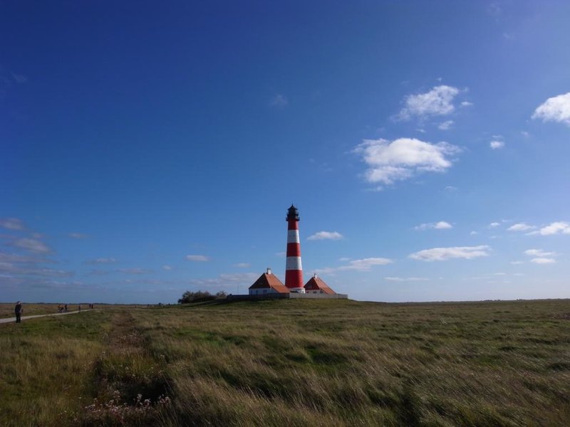 K1024_R0011078.JPG