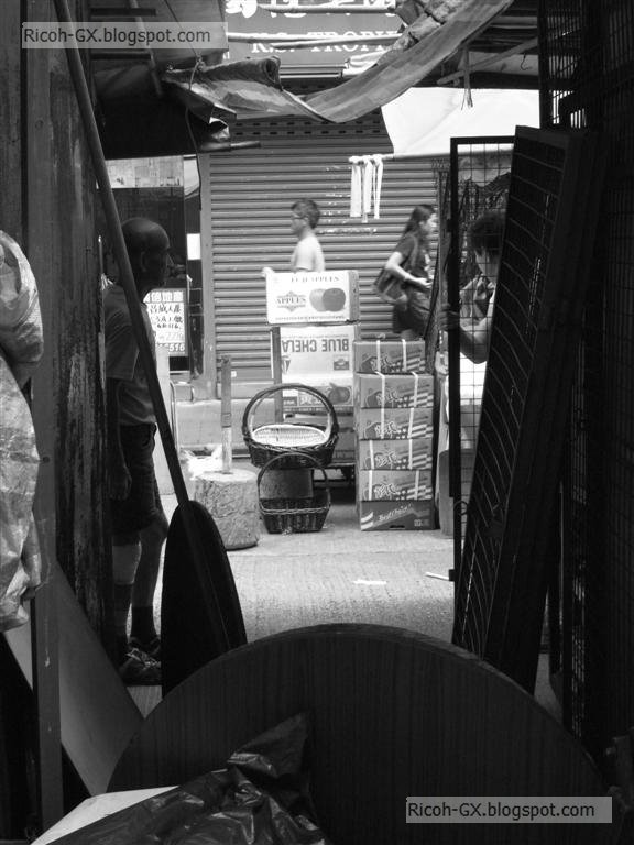 R0010305 (Large).JPG