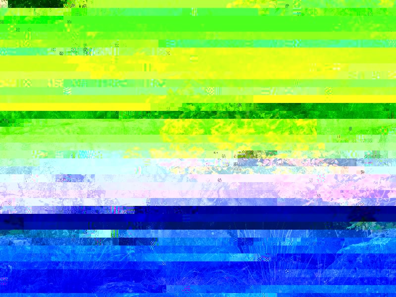 autumncolors.jpg