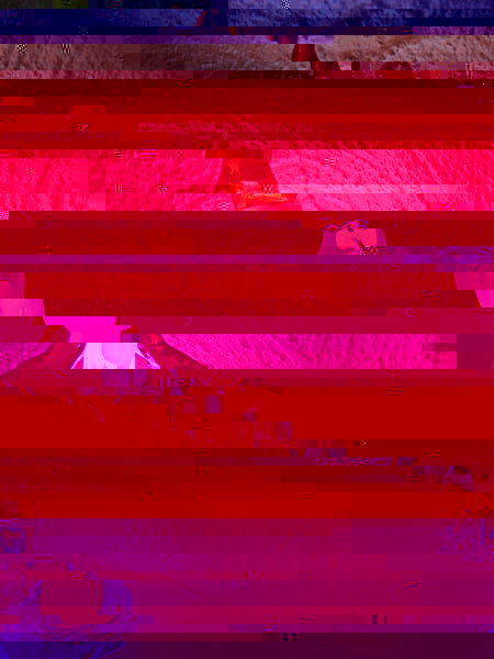 santa1.jpg