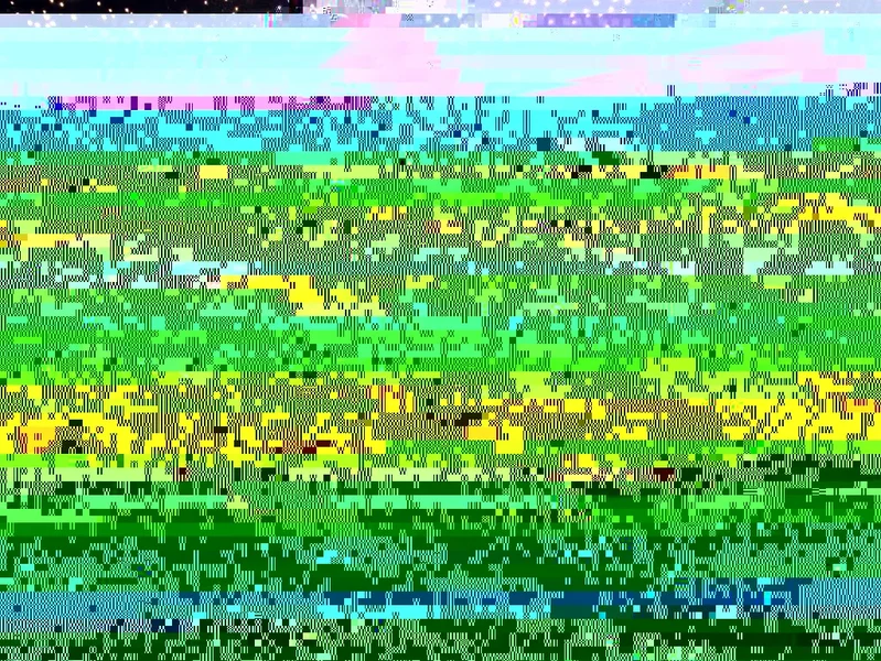 windowgift.webp