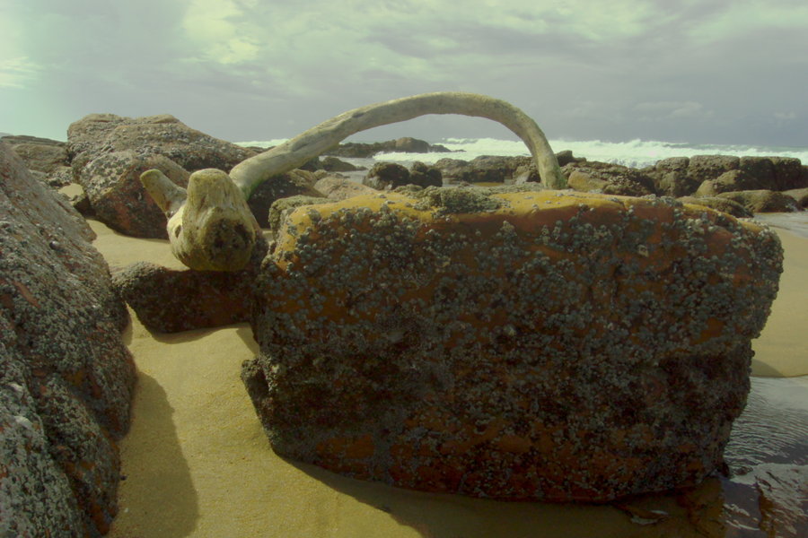 Beach 070.jpg